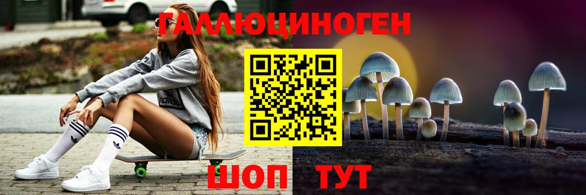 Псилоцибиновые грибы мицелий Шали